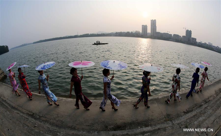 ??? ????? ?????? ???????? ??????