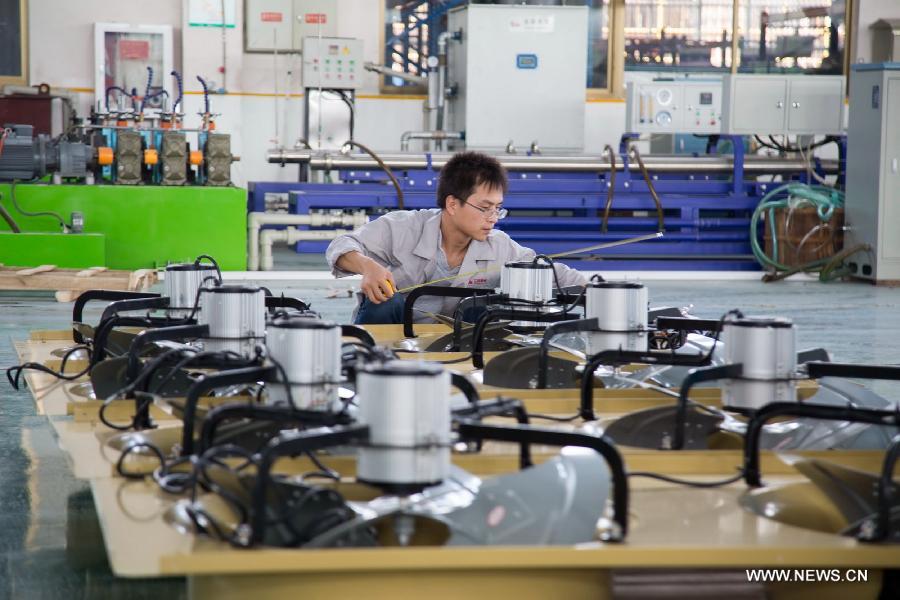 ?????? ??????? ???????? ????? 19.5% ?? ?????