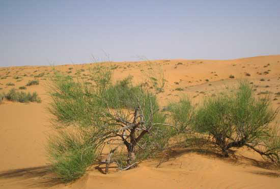 ????? ???? ??????? ?????? ?? ????? ????? ??????? ??????? ??????