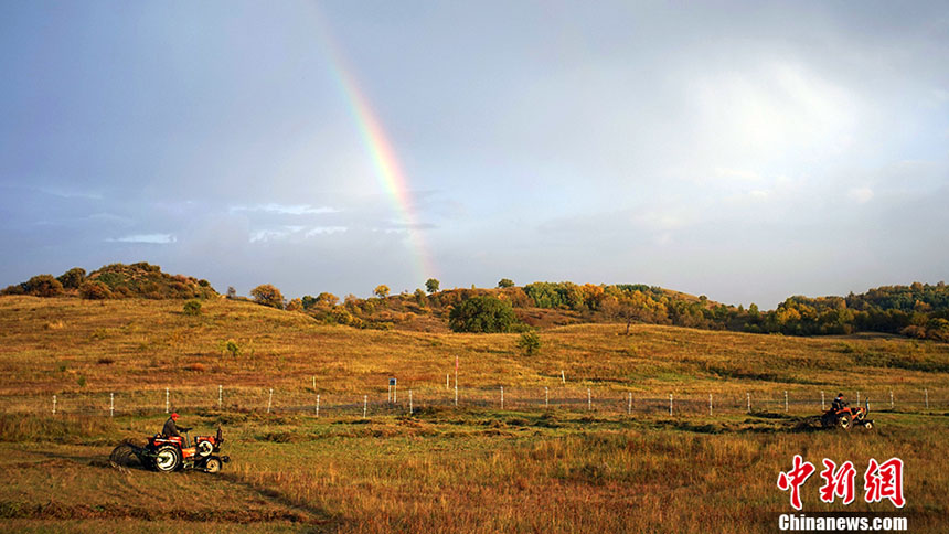 ??????: ???? 10 ????? ???????  ????????  ?? ?????