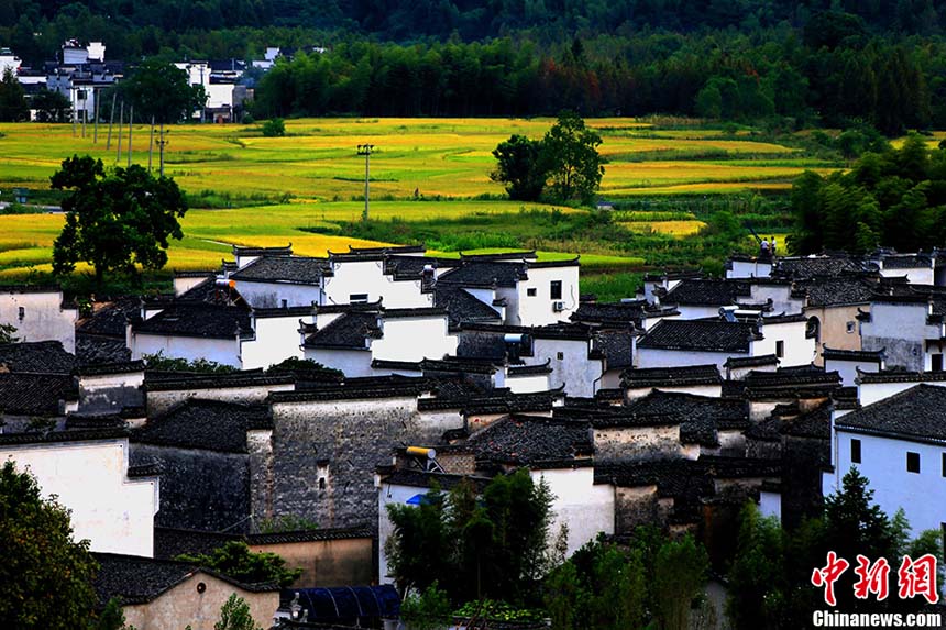 ??????: ???? 10 ????? ???????  ????????  ?? ?????