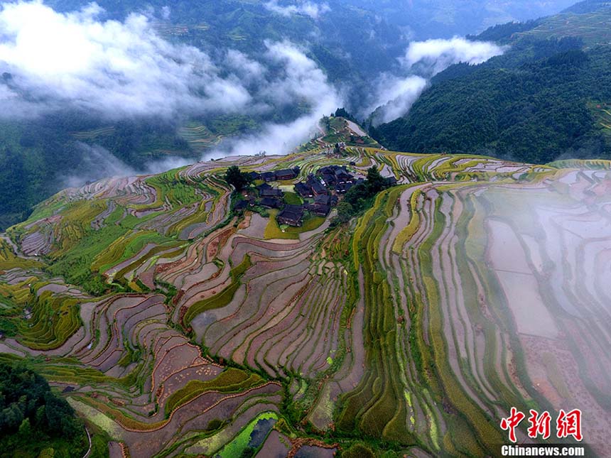 ??????: ???? 10 ????? ???????  ????????  ?? ?????