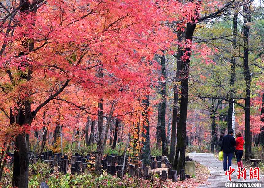 ??????: ???? 10 ????? ???????  ????????  ?? ?????