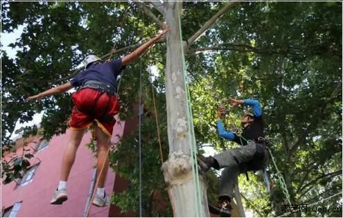 ????? ????? ????? ????? ?????? ???? ???????