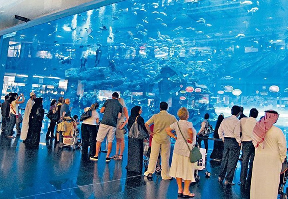 ??????? ??????? ? ?????????? ????? ???? ?????