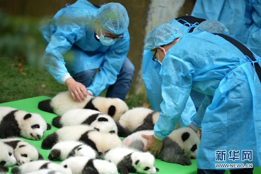 ????? ??????? ?????? ????? ??????? ?? ??? 2016