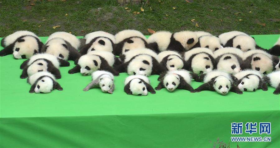 ????? ??????? ?????? ????? ??????? ?? ??? 2016