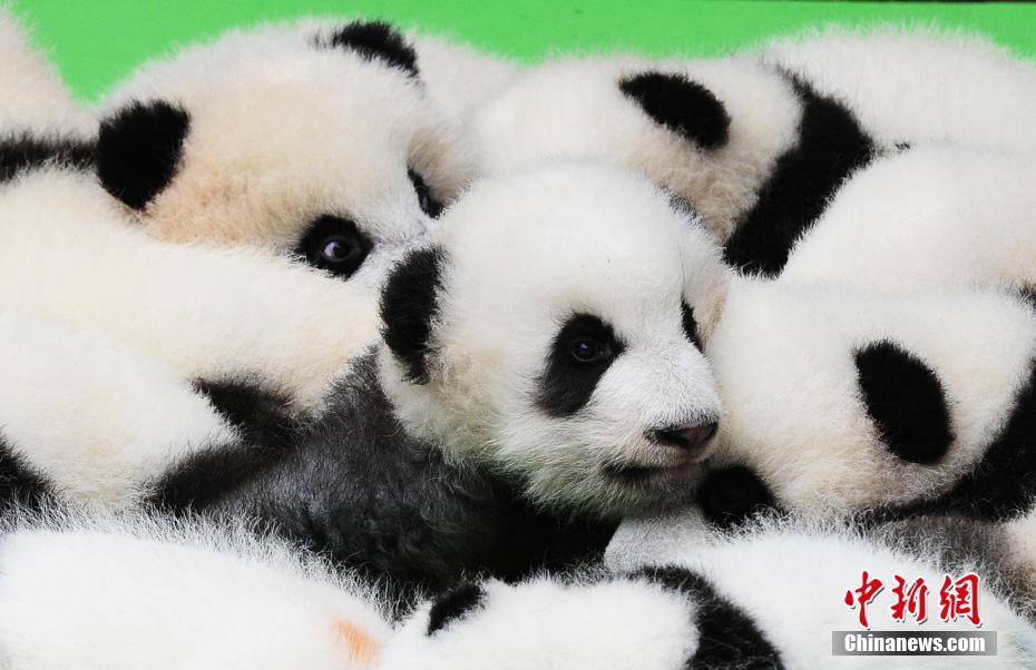 ????? ??????? ?????? ????? ??????? ?? ??? 2016