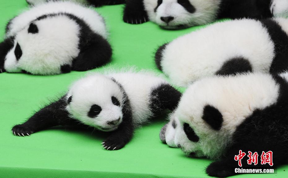 ????? ??????? ?????? ????? ??????? ?? ??? 2016