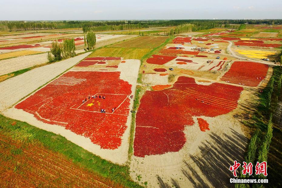 ?????? ?? ???????? ?????? ????? ?????? ????????? ???????? ??????? ???? ????? ?????