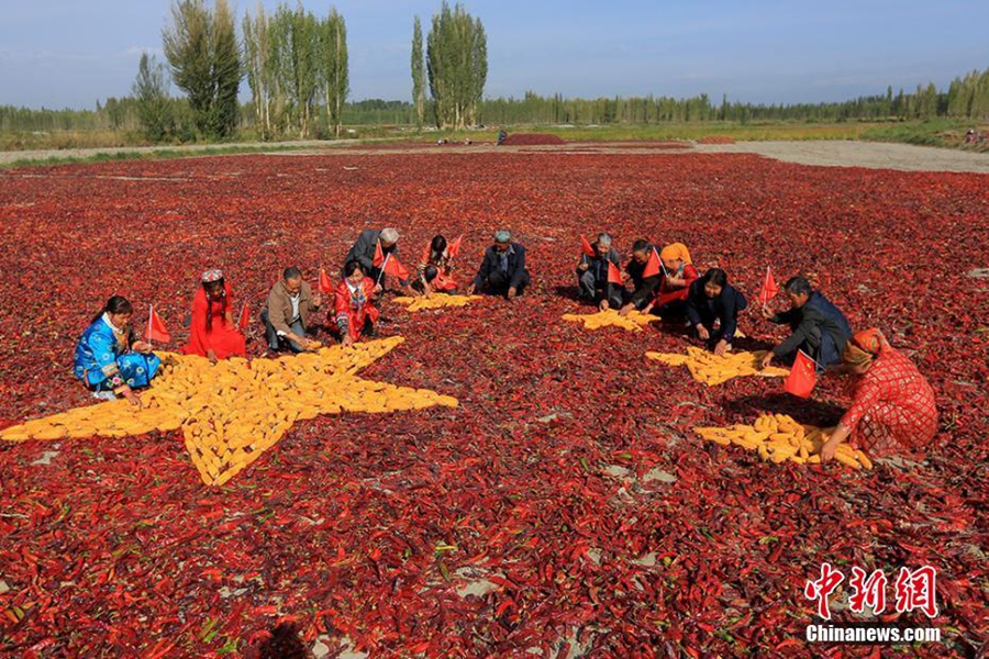 ?????? ?? ???????? ?????? ????? ?????? ????????? ???????? ??????? ???? ????? ?????