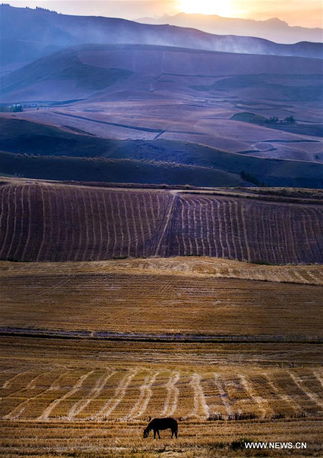 ????? ?????? ?? ????????