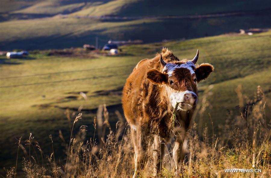 ????? ?????? ?? ????????