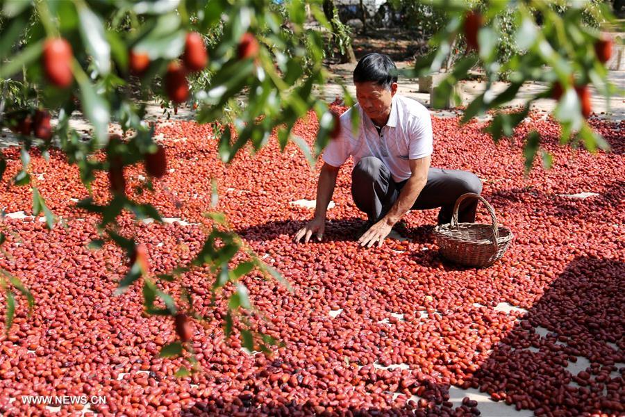 ??????? ???????? ?? ??? ??????