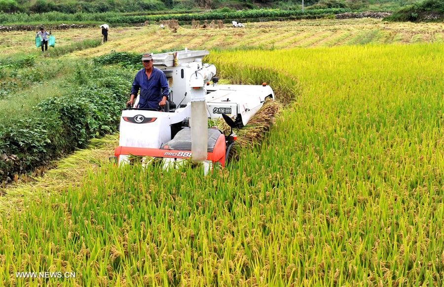 ??????? ???????? ?? ??? ??????