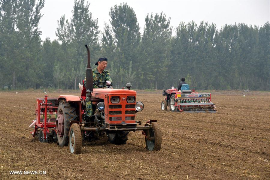 ??????? ???????? ?? ??? ??????