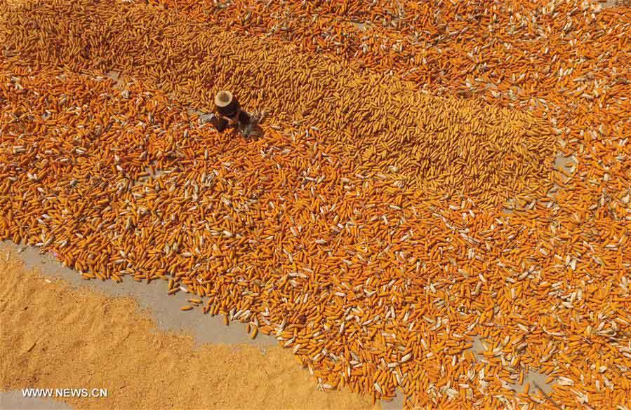 ??????? ???????? ?? ??? ??????