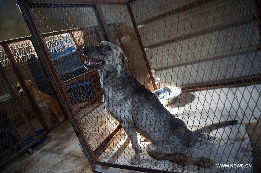 ????? ??????? ??????? ???? ?????? ??????? ??? ??????