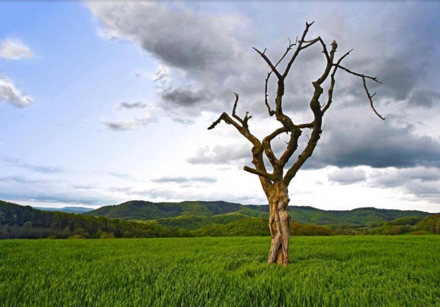 ?? ???? ????? ??????? ?? ????????