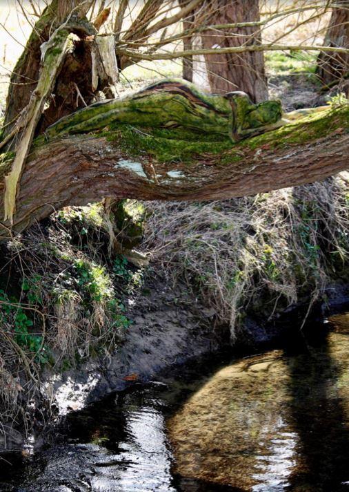 ?? ???? ????? ??????? ?? ????????