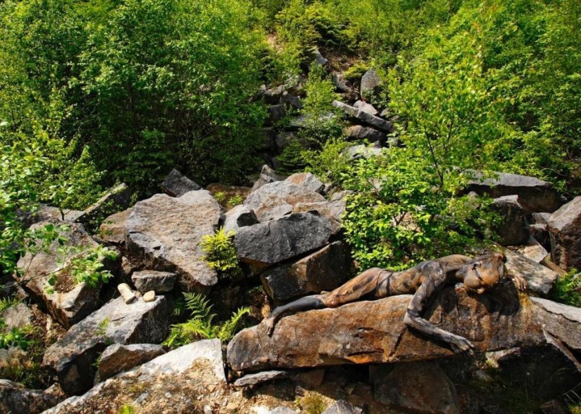 ?? ???? ????? ??????? ?? ????????