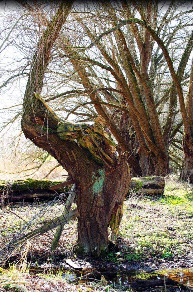 ?? ???? ????? ??????? ?? ????????