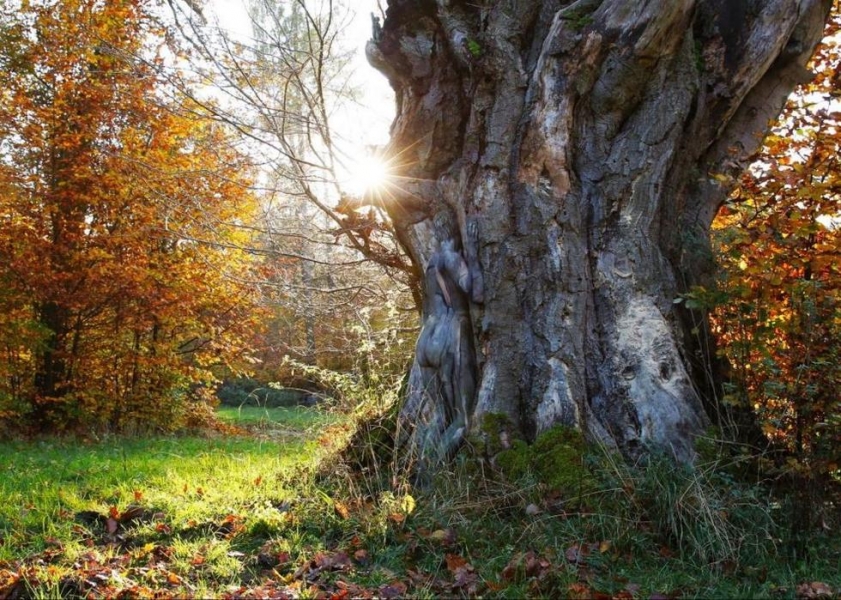 ?? ???? ????? ??????? ?? ????????