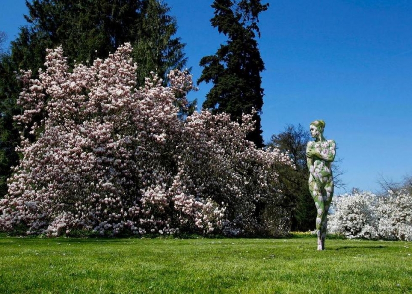 ?? ???? ????? ??????? ?? ????????