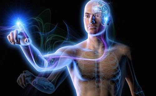 ????? ?????: 115 ??? ?? ???? ?????? ????? ???????