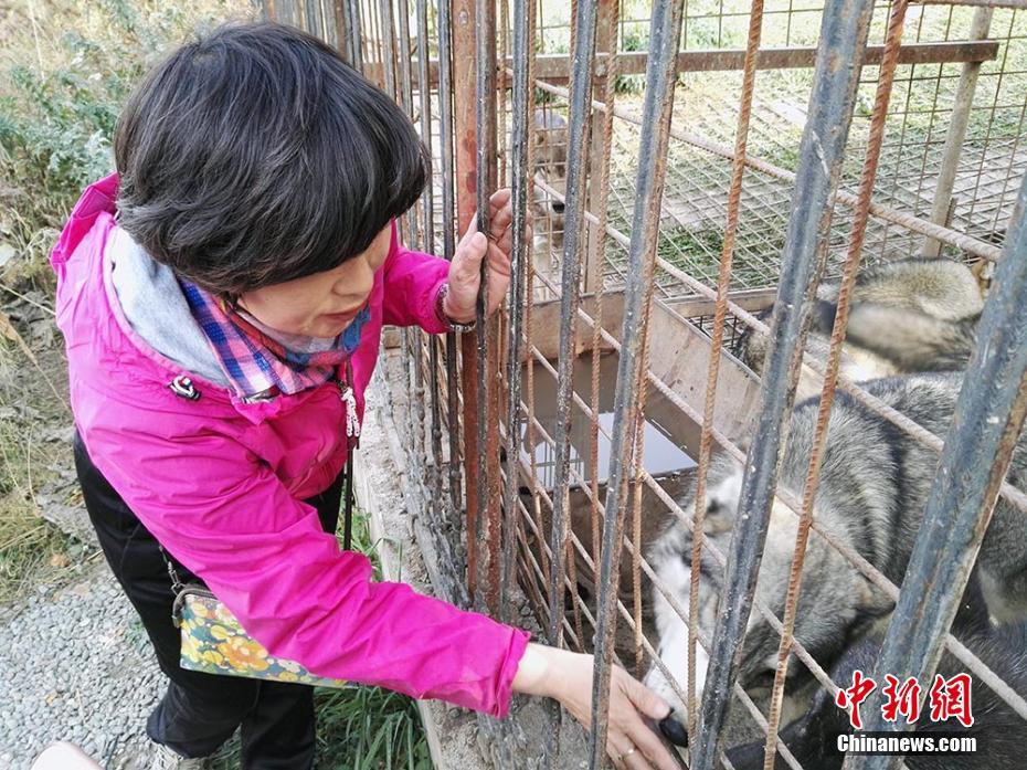 ??? ??????: ????? ????? ????? ?? ??????