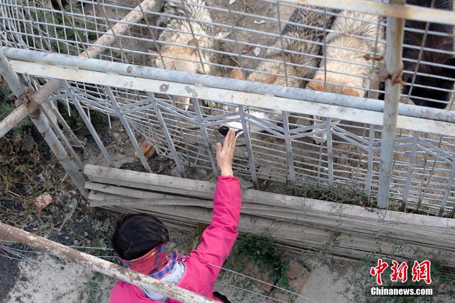 ??? ??????: ????? ????? ????? ?? ??????