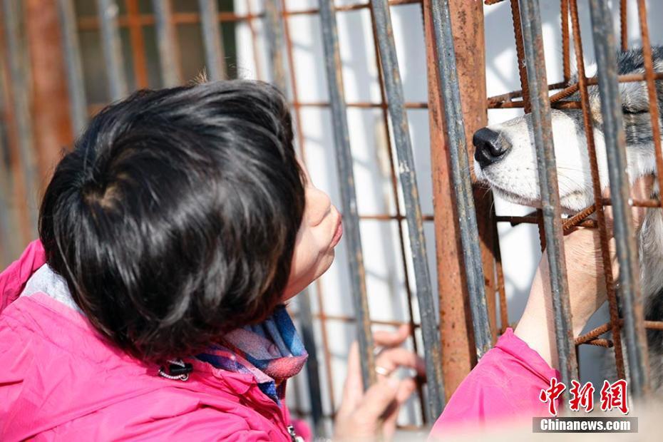 ??? ??????: ????? ????? ????? ?? ??????