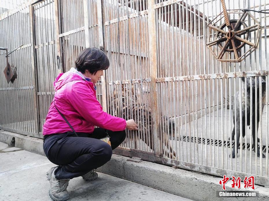 ??? ??????: ????? ????? ????? ?? ??????