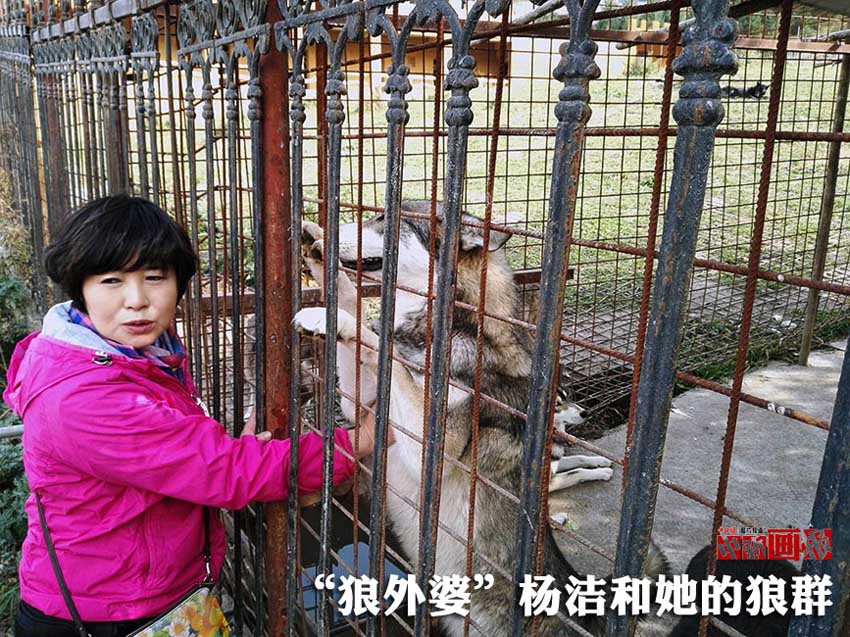 ??? ??????: ????? ????? ????? ?? ??????