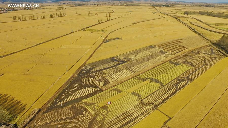 ???? ?????? ??????? ?? ???? ???? ?????