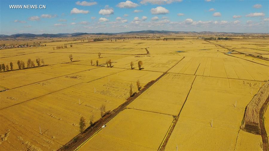 ???? ?????? ??????? ?? ???? ???? ?????