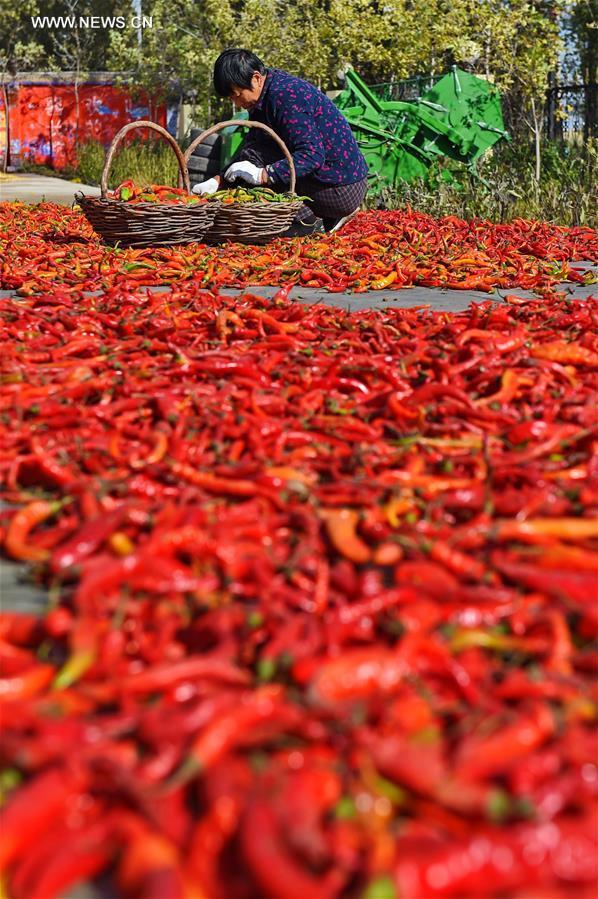 ???? ?????? ??????? ?? ???? ???? ?????