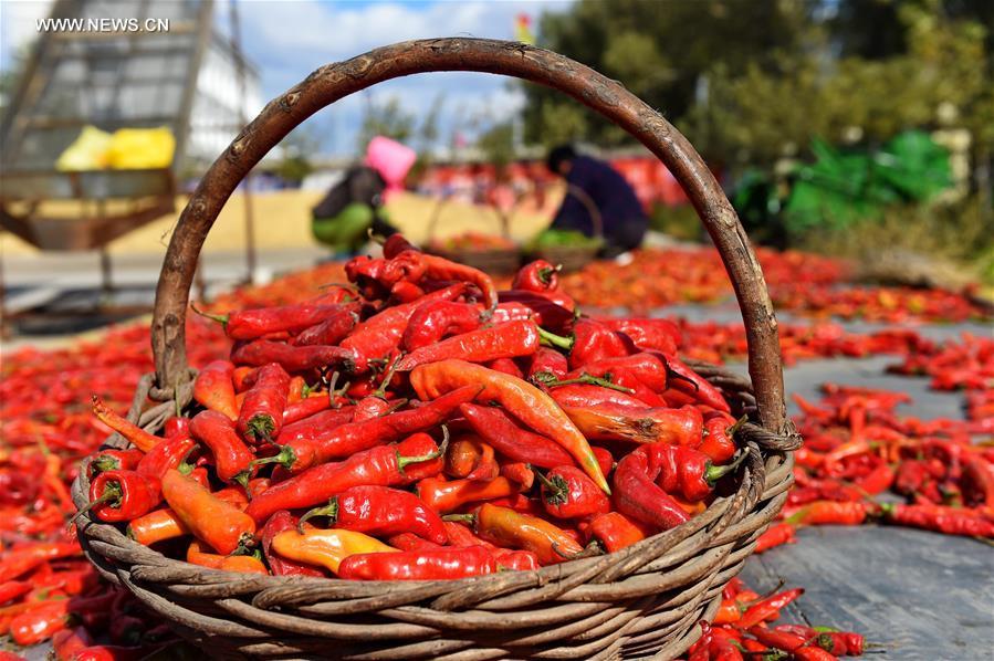 ???? ?????? ??????? ?? ???? ???? ?????