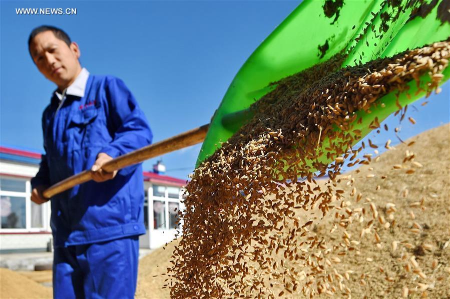 ???? ?????? ??????? ?? ???? ???? ?????