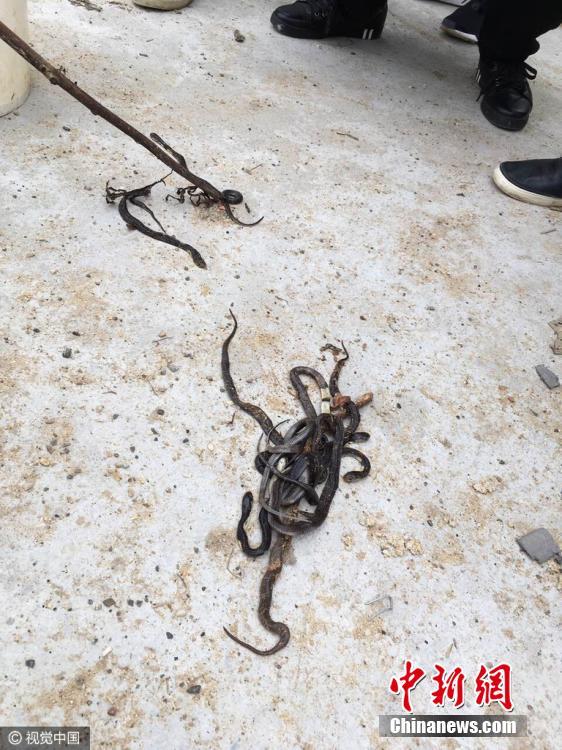 ???? ???? ?? 200 ????? ???? ?? ????? ???? ?????