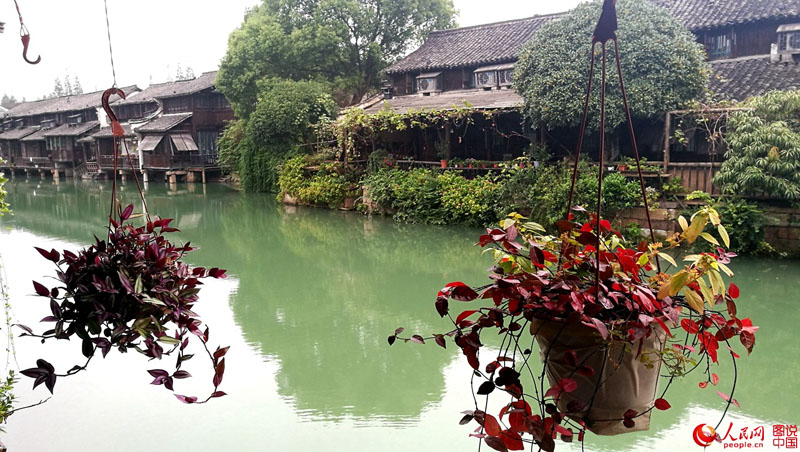 ?????? ???: ???? ????? ???????