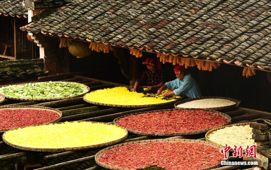 ?????? ????? ??? ?????