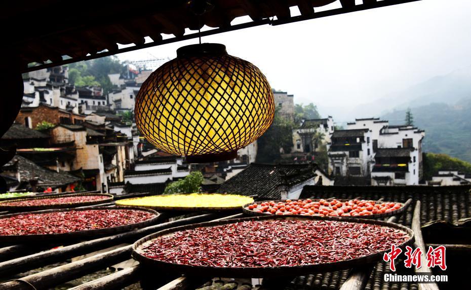 ?????? ????? ??? ?????