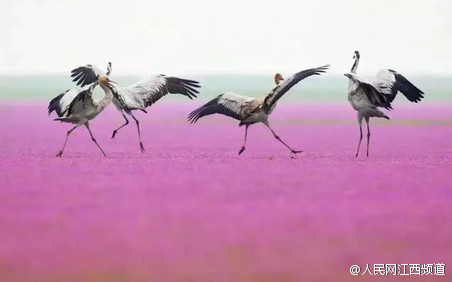 ?????? ???????? ???? ??? ?????? ??????? ????????