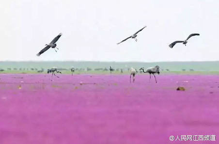 ?????? ???????? ???? ??? ?????? ??????? ????????