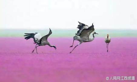 ?????? ???????? ???? ??? ?????? ??????? ????????