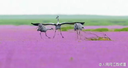 ?????? ???????? ???? ??? ?????? ??????? ????????