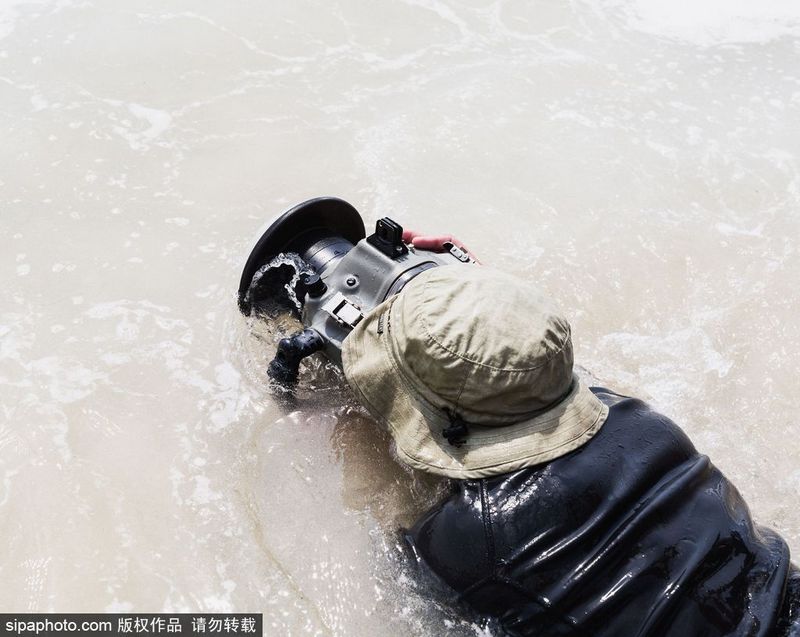 8 ?????????? ???????? ??????