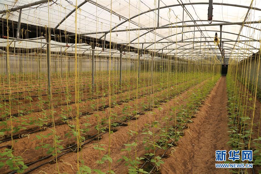 ???? ????? ???? ????? ????? ?? ????? ???