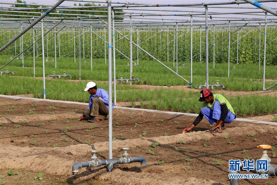 ???? ????? ???? ????? ????? ?? ????? ???